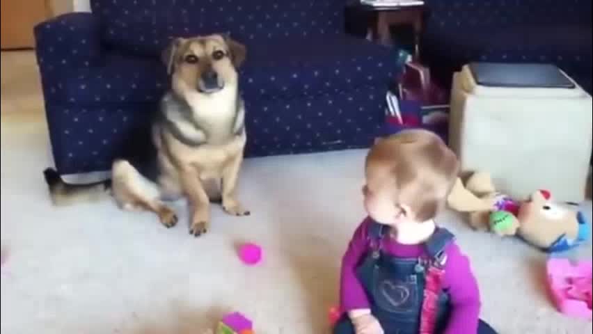 Funny video of Baby and Dog😂😍