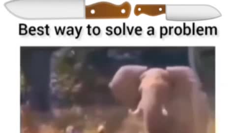 No backup 🔥🔥💯💯😱😱