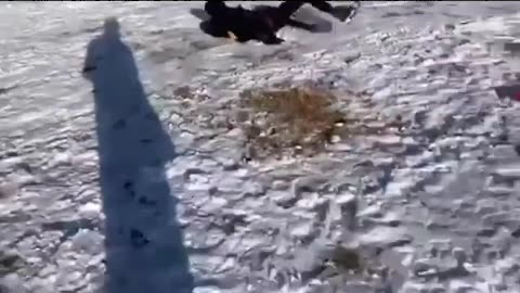 Funny video compilation (TRY NOT TO LOUGH)