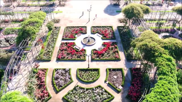 Rosa garden at Araucano Park in Santiago, Chile