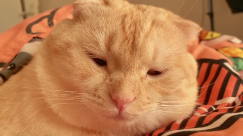 I want to sleep for another five minutes