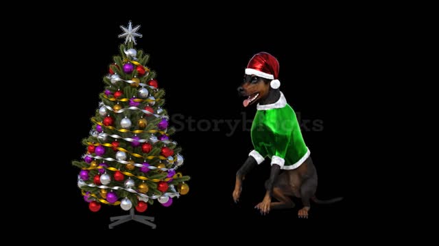 Watch this clip of a dancing dog
