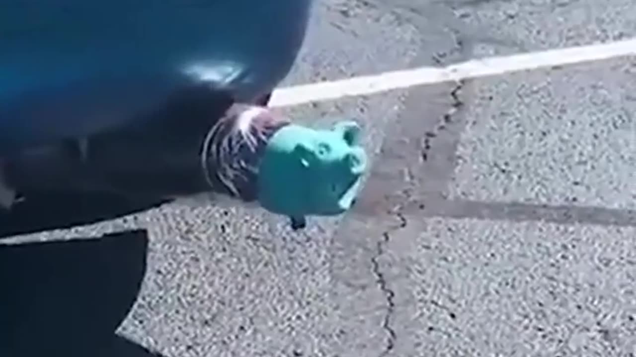 Funny meme 23