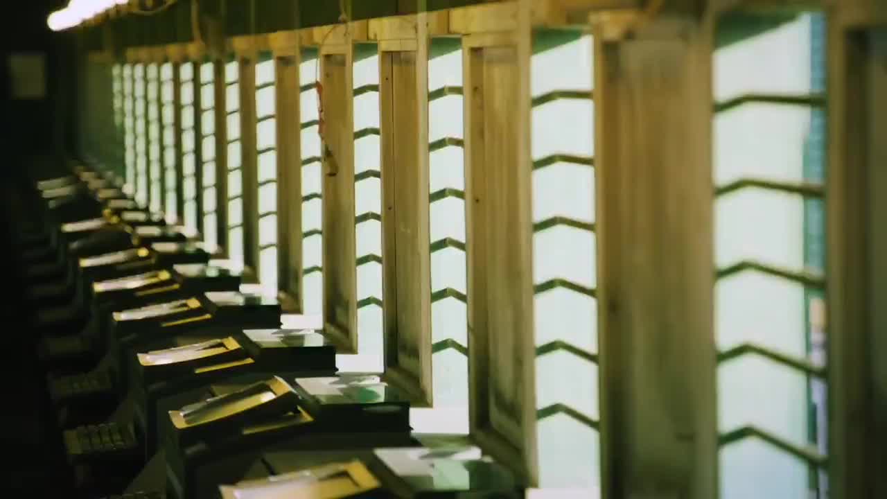 Kentucky Derby 2021 Video " Released" Will blow your Mind