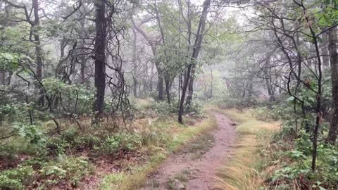 Washburn Trail to Bull Hill (Hudson Highlands State Park, Cold Spring, NYS) 7