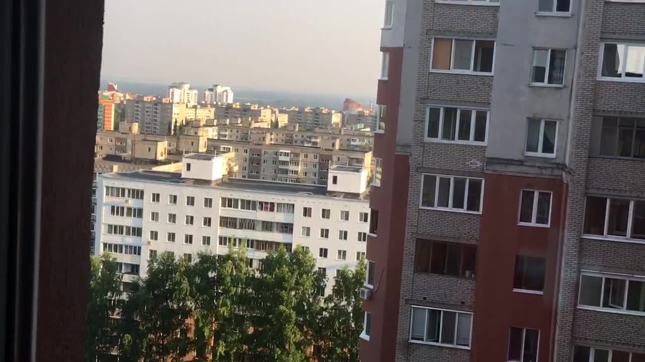 Homemade Tangerines with City View