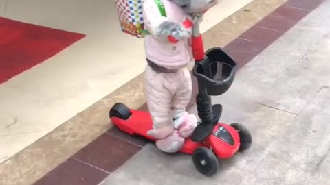 Little Teddy working on his scooter again