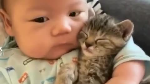 Baby in Cat cute video 😍😍😍😍