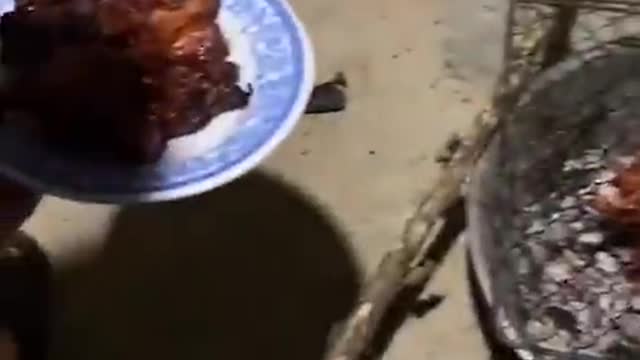 Funniest cats and dogs πΆπ±#funnycats #funnydogs