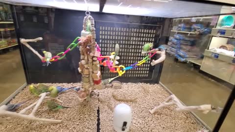 EXPLORING PETSMART ! ANIMAL FRIENDS EVERYWHERE!