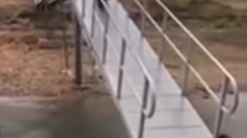 Funny video