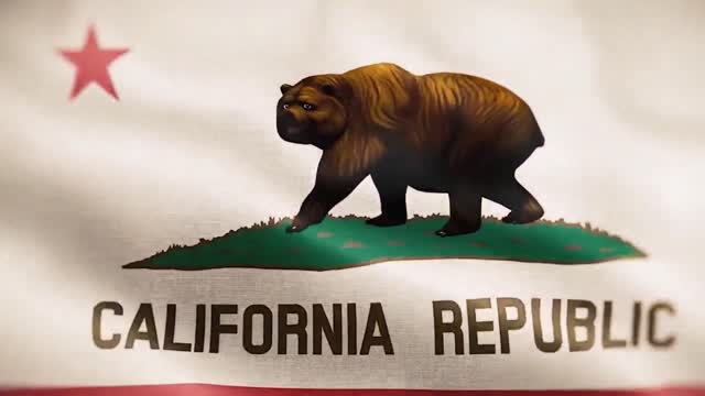 Agenda 21 Radio August 28, 2021