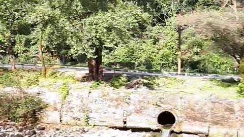 Descent Along a mountain river in the mountains of Abkhazia.