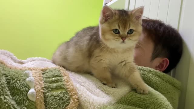 Remember when your cat first got home?