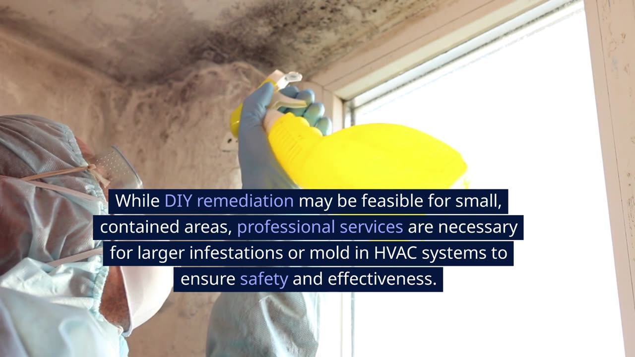 How Much Does Mold Remediation Cost?