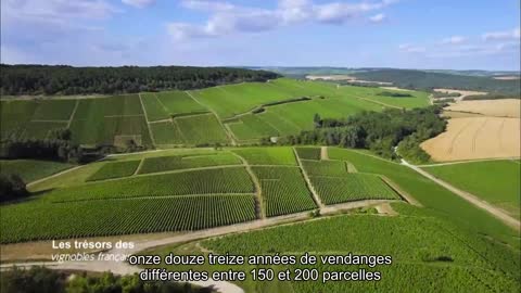 Les trésors des vignobles français56