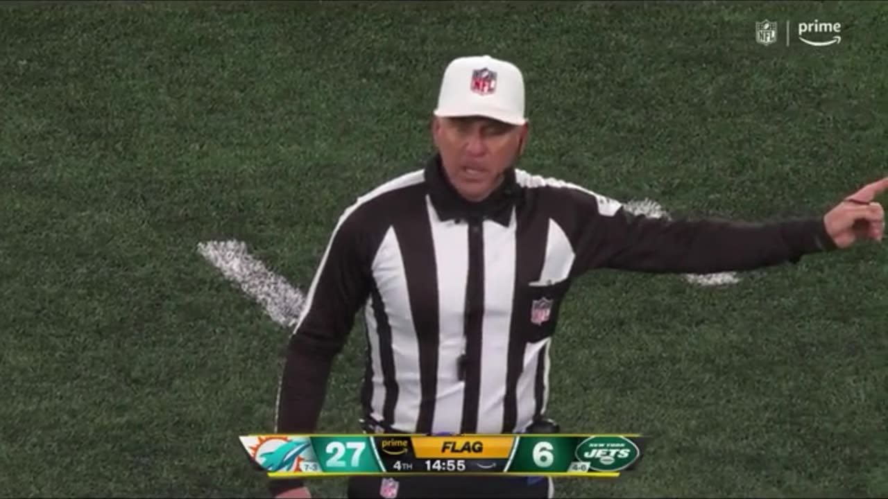 Referee Spitting Blood After Getting Hit By Jets Player