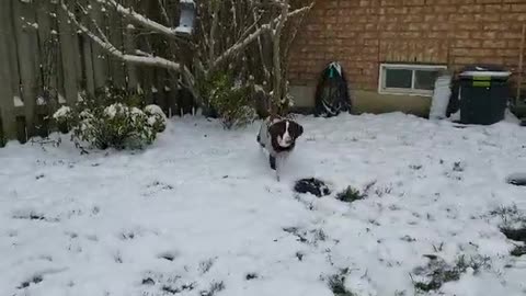 TUBBY LOVES SNOW FLAKES