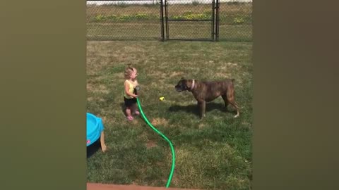 Children and dogs are friends forever