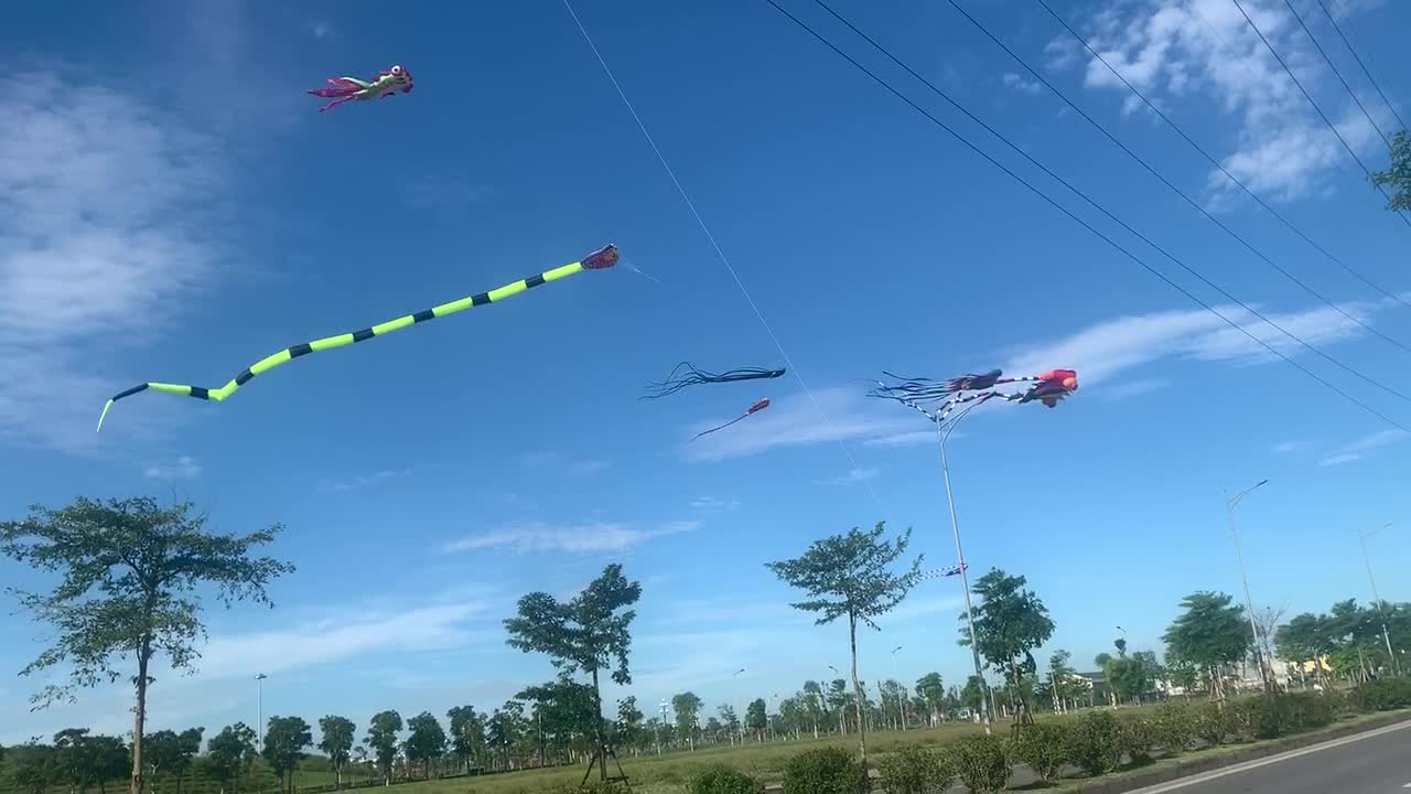 childhood with kites