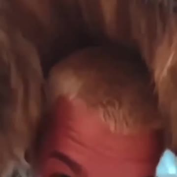 O Bote do Carinho, reconhecimento e do Orgulho