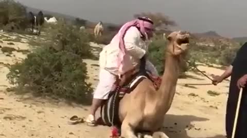 Too heavy for a ride
