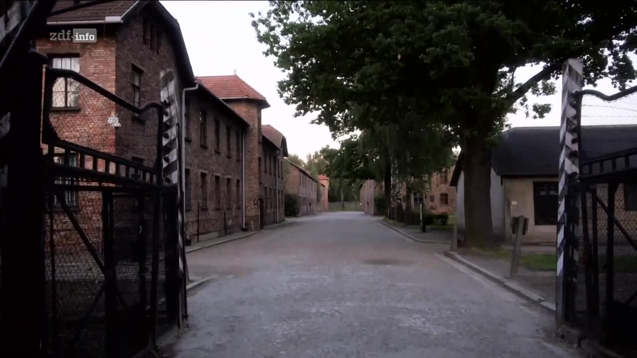 Abgezockt! Die Auschwitz-Tagebücher Doku (2020)