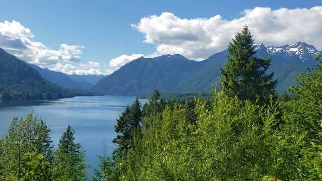 LAKE CUSHMAN