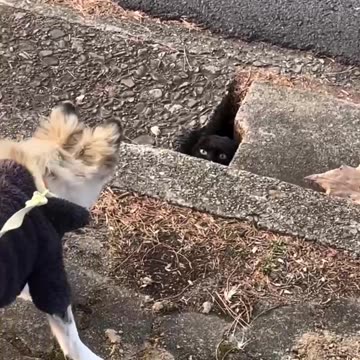 Hey what’s hiding down there? 😂😂😱