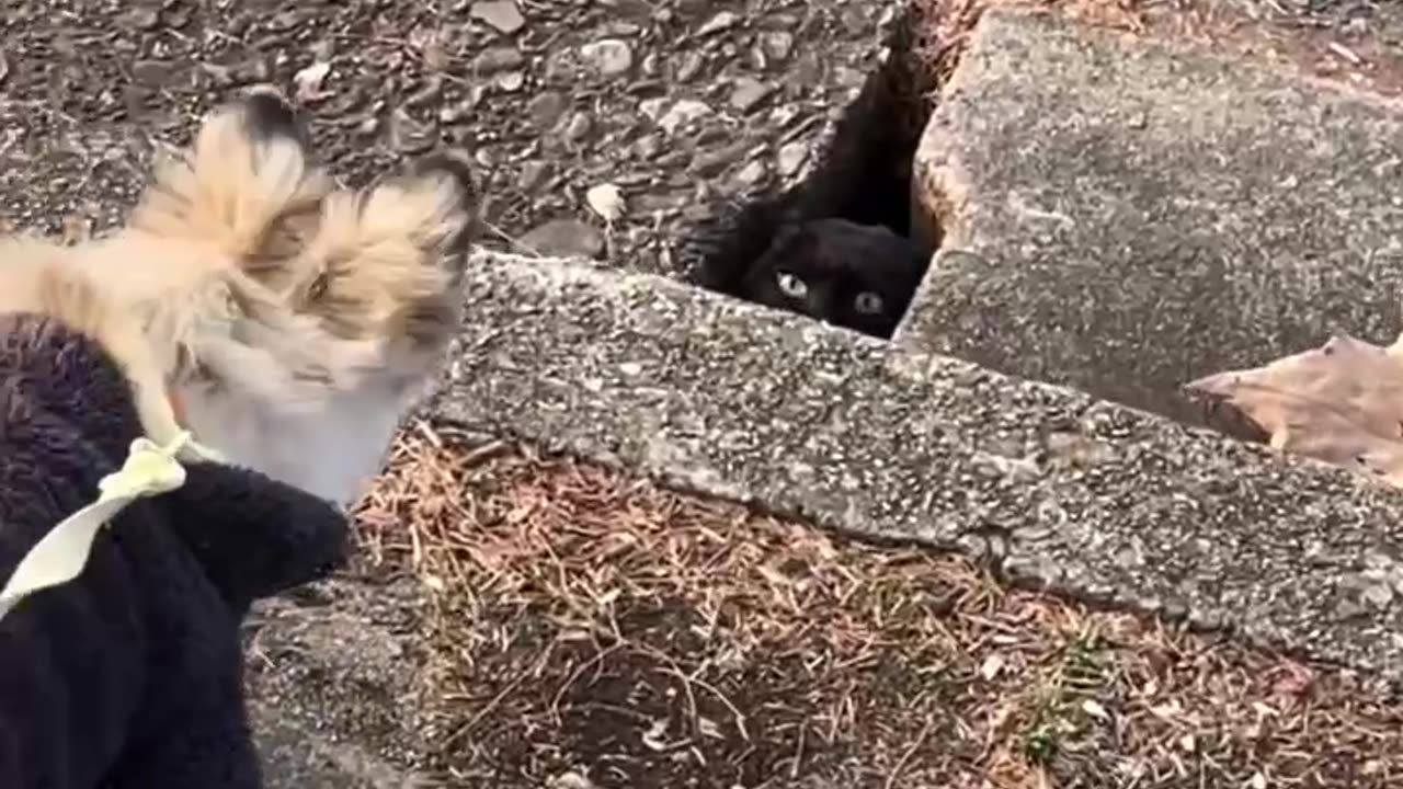 Hey what’s hiding down there? 😂😂😱