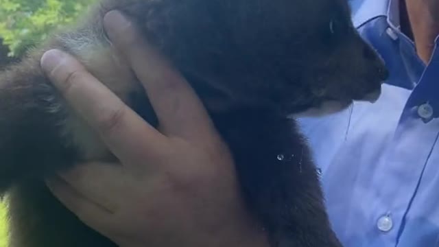 The smell of milk makes your mouth water
