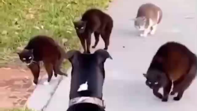 Melhor se parar de arrumar essas confusão