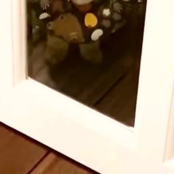 Why am I wearing this ring.🥺