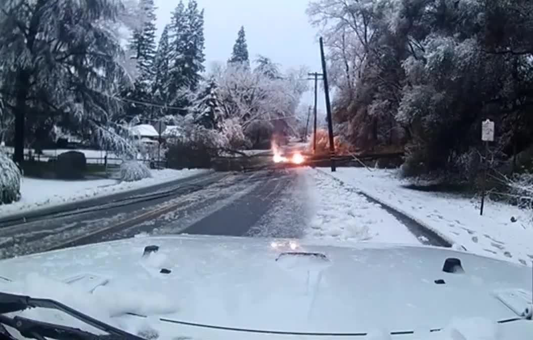 Falling tree brings down power line in California