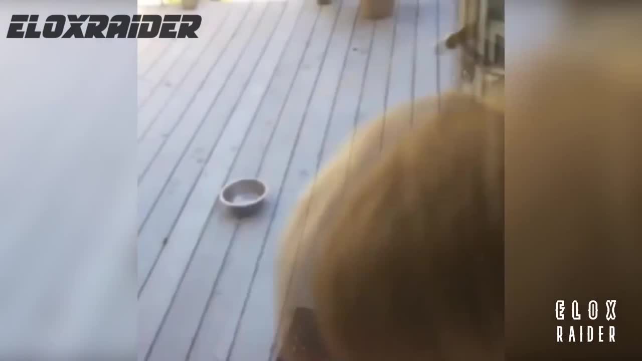 Instant Regret Compilation