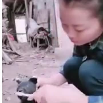 Funny Video You Can Enjoy And Pass your Time