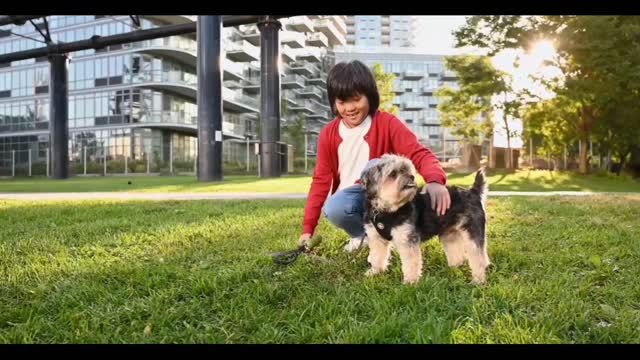 A Boy Teaching His Dog Tricks | Blind Man Walking With His Dog