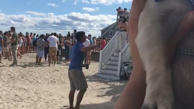 Pug being held up at beach party