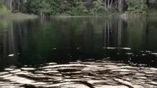 Patriot Fishing part 9-3