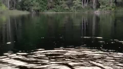 Patriot Fishing part 9-3