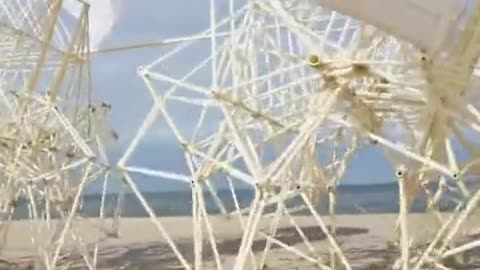 Wind powered sculpture