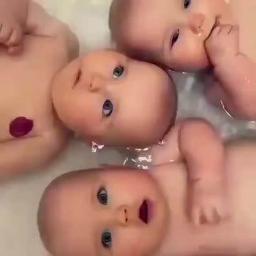 Would you like these 3 livers to be yours ?!