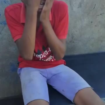 Cat fighting with dog and owner complaining