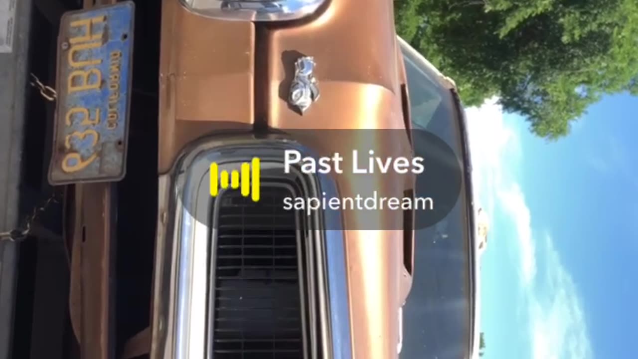 Past Lives- Borns
