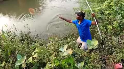 Wonderful fishing