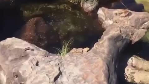 the magic of nature 😍😍