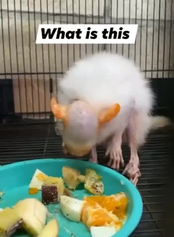 The elites are quickly turning SCIENCE into a HORROR SHOW