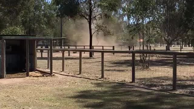 Backyard Dust Whirlwind