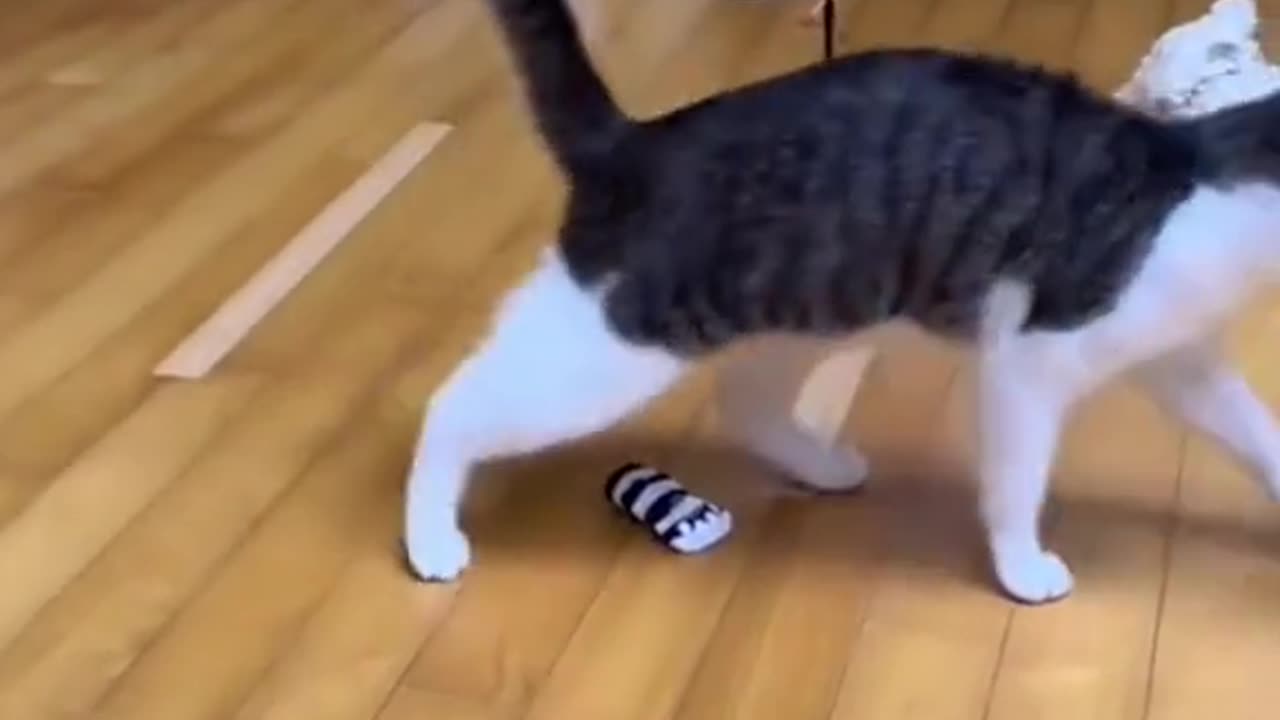 Fanny video #2))))))