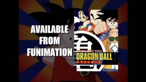 DragonBall World Martial Arts Tournament on Video and DVD